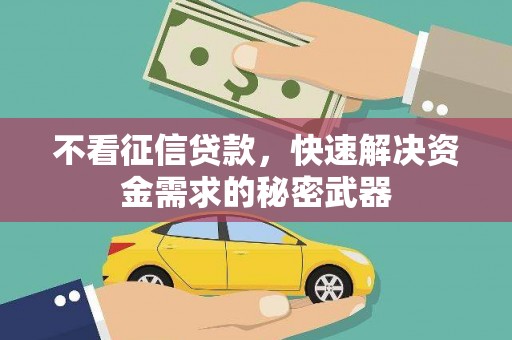西和不看征信贷款，快速解决资金需求的秘密武器