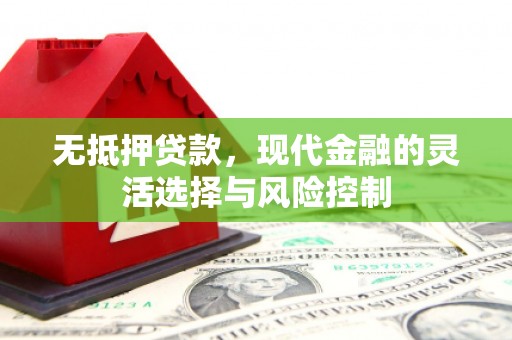 西和无抵押贷款，现代金融的灵活选择与风险控制