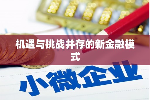 西和机遇与挑战并存的新金融模式