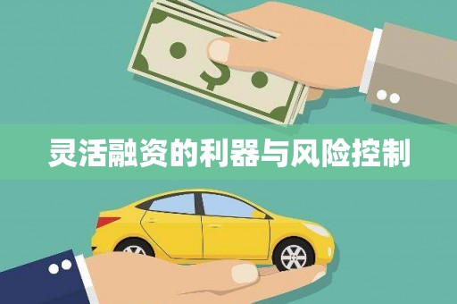 西和灵活融资的利器与风险控制