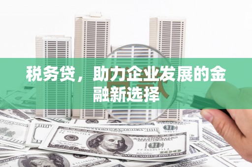 西和税务贷，助力企业发展的金融新选择