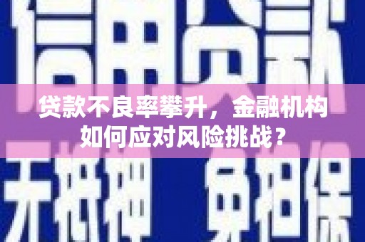 西和贷款不良率攀升，金融机构如何应对风险挑战？