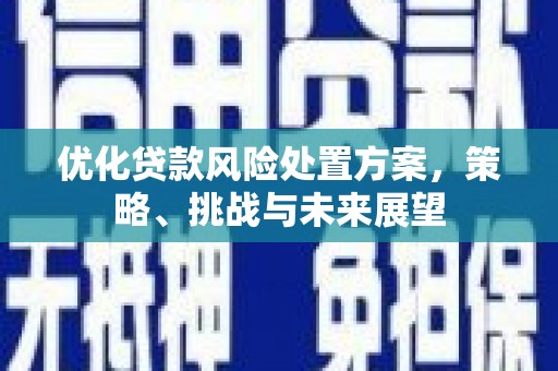 西和优化贷款风险处置方案，策略、挑战与未来展望