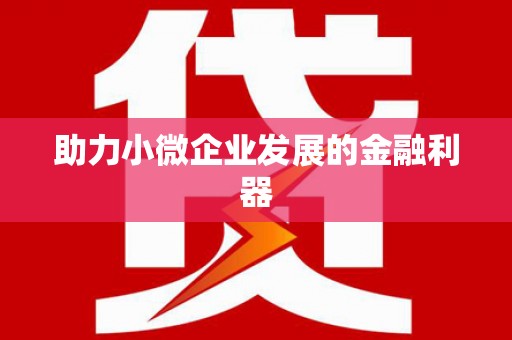 西和助力小微企业发展的金融利器
