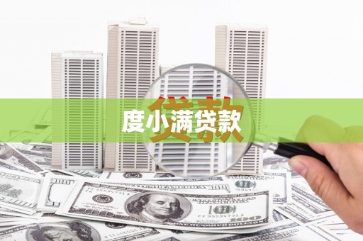 西和度小满贷款
