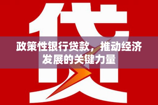 西和政策性银行贷款，推动经济发展的关键力量