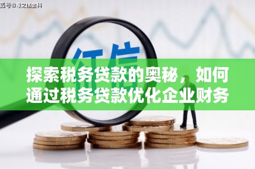 西和探索税务贷款的奥秘，如何通过税务贷款优化企业财务