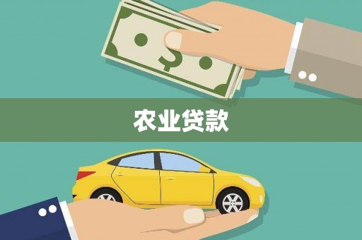 西和农业贷款
