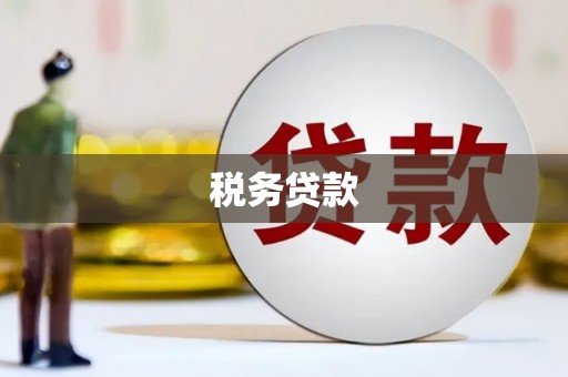 西和税务贷款