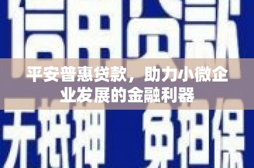 西和平安普惠贷款，助力小微企业发展的金融利器
