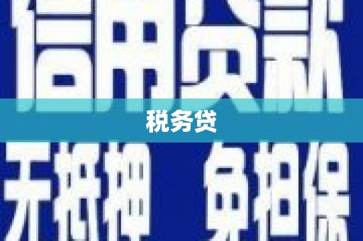 西和税务贷