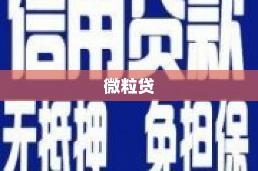 西和微粒贷