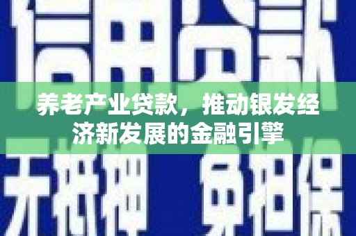 西和养老产业贷款，推动银发经济新发展的金融引擎