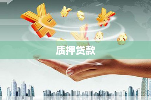 西和质押贷款
