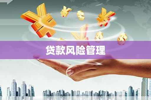 西和贷款风险管理
