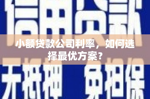 西和小额贷款公司利率，如何选择最优方案？
