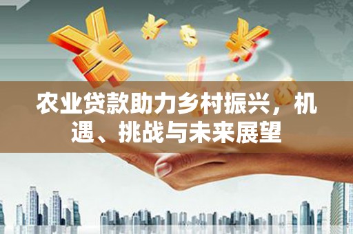 西和农业贷款助力乡村振兴，机遇、挑战与未来展望