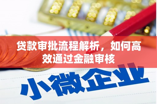 西和贷款审批流程解析，如何高效通过金融审核