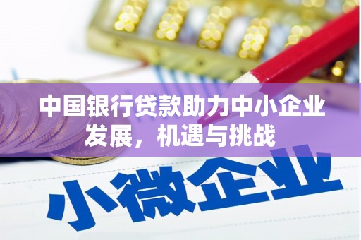 西和中国银行贷款助力中小企业发展，机遇与挑战