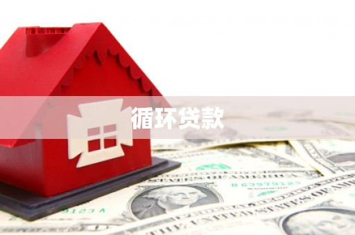 西和循环贷款