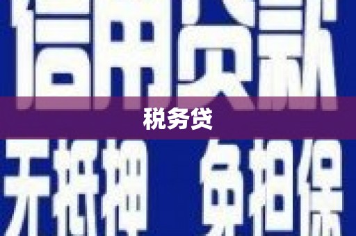 西和税务贷