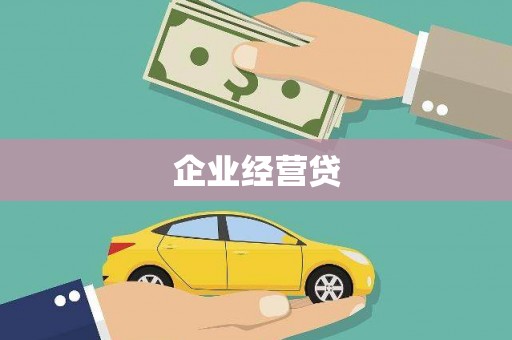 西和企业经营贷