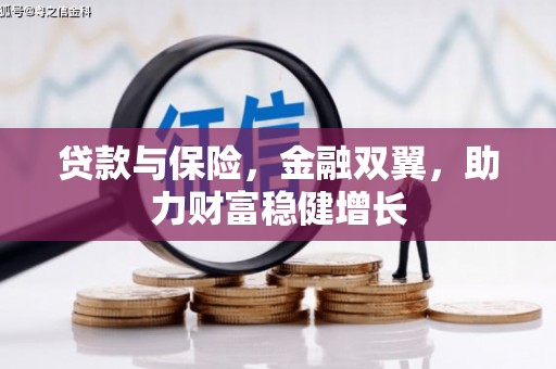 西和贷款与保险，金融双翼，助力财富稳健增长