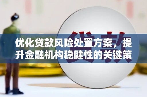 西和优化贷款风险处置方案，提升金融机构稳健性的关键策略