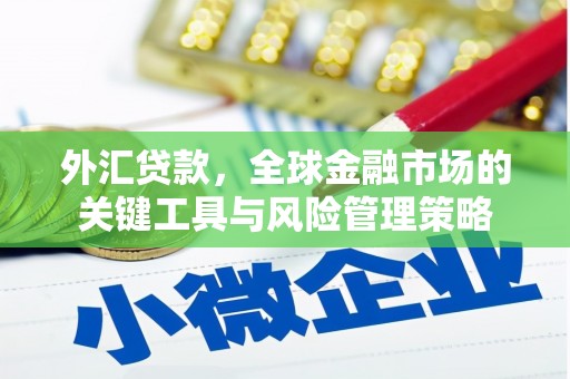 西和外汇贷款，全球金融市场的关键工具与风险管理策略