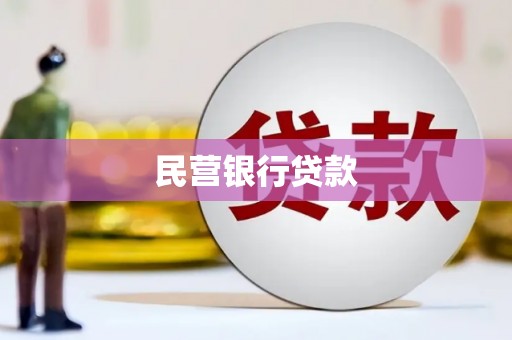西和民营银行贷款