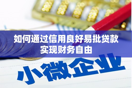 西和如何通过信用良好易批贷款实现财务自由