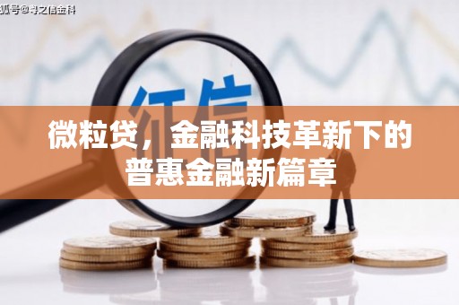 西和微粒贷，金融科技革新下的普惠金融新篇章
