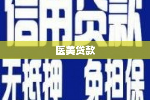 西和医美贷款