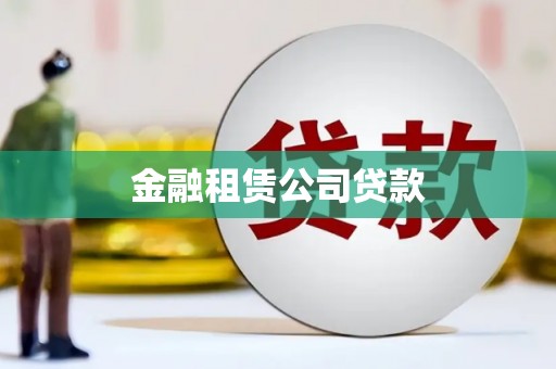 西和金融租赁公司贷款