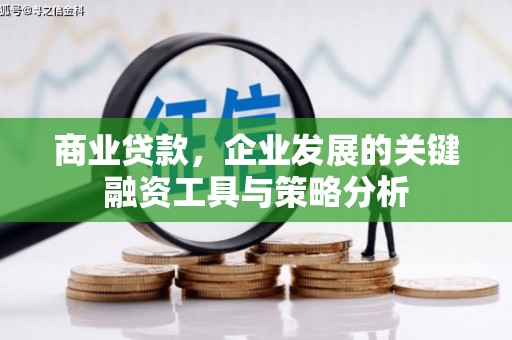 西和商业贷款，企业发展的关键融资工具与策略分析
