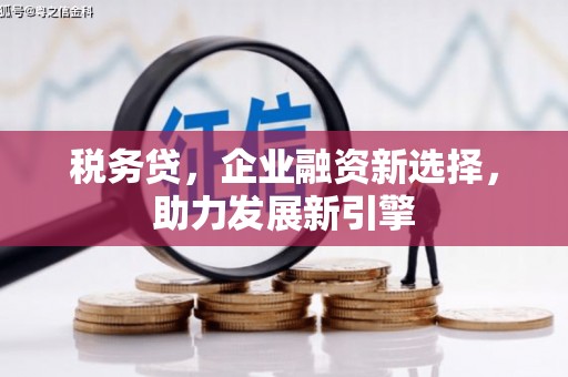 西和税务贷，企业融资新选择，助力发展新引擎