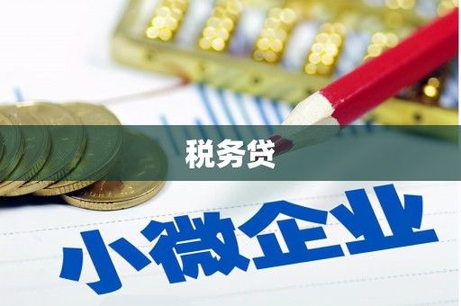 西和税务贷