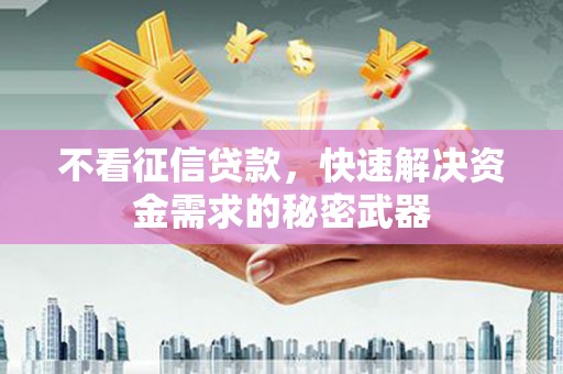 西和不看征信贷款，快速解决资金需求的秘密武器