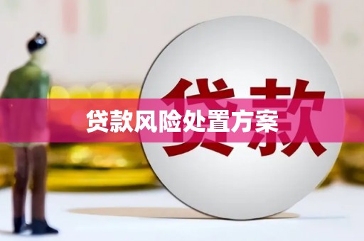 西和贷款风险处置方案