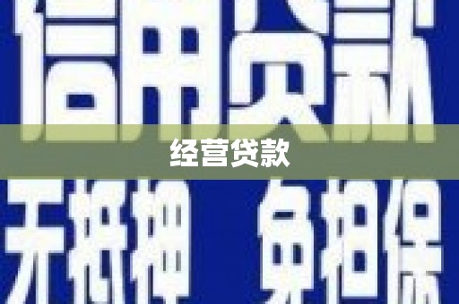 西和经营贷款