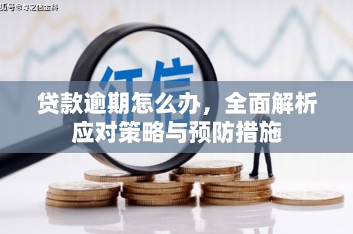 西和贷款逾期怎么办，全面解析应对策略与预防措施