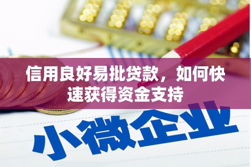 西和信用良好易批贷款，如何快速获得资金支持