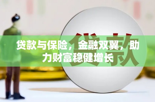 西和贷款与保险，金融双翼，助力财富稳健增长