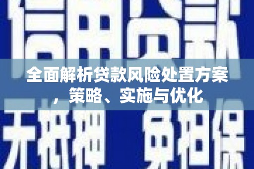 西和全面解析贷款风险处置方案，策略、实施与优化