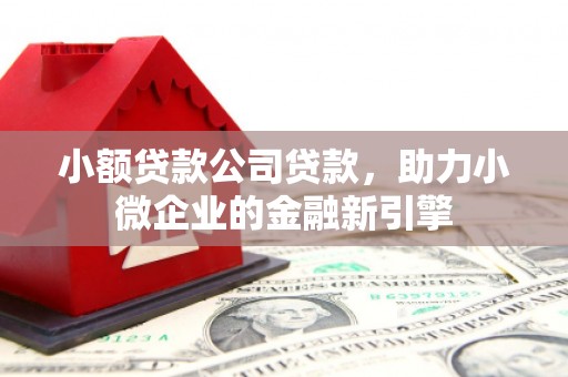 西和小额贷款公司贷款，助力小微企业的金融新引擎
