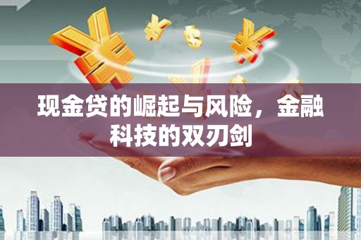 西和现金贷的崛起与风险，金融科技的双刃剑