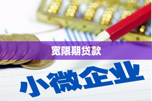西和宽限期贷款