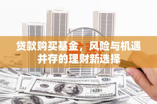 西和贷款购买基金，风险与机遇并存的理财新选择