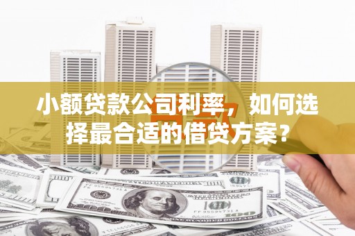 西和小额贷款公司利率，如何选择最合适的借贷方案？