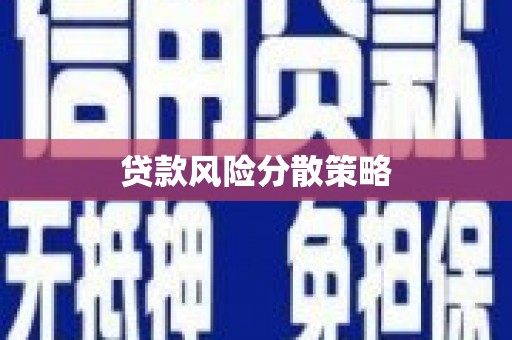 西和贷款风险分散策略